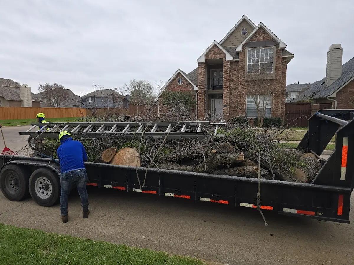 Expert Tree Pest Control with proper safety equipment in Inman